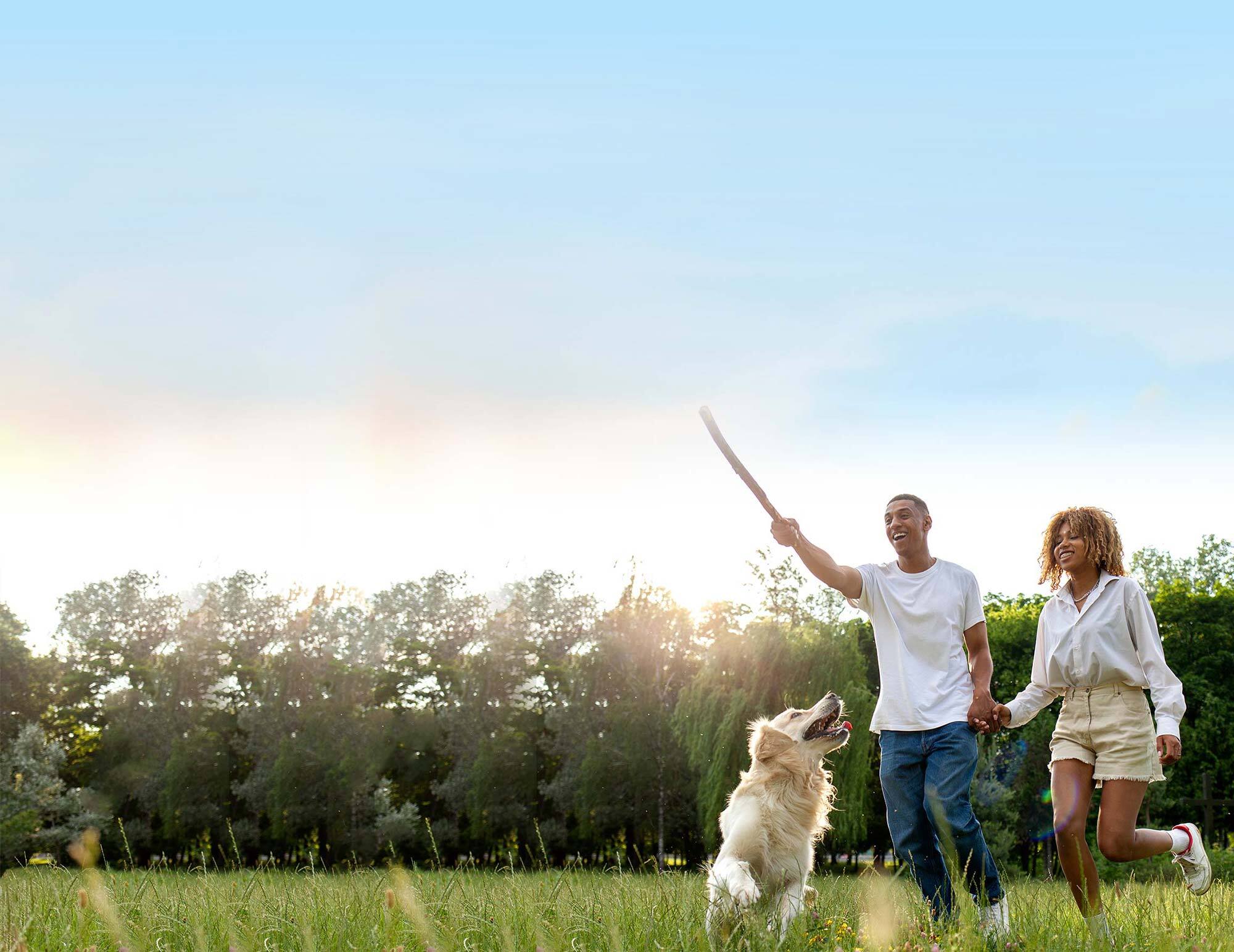 Charlotte Property Management Client Testimonials